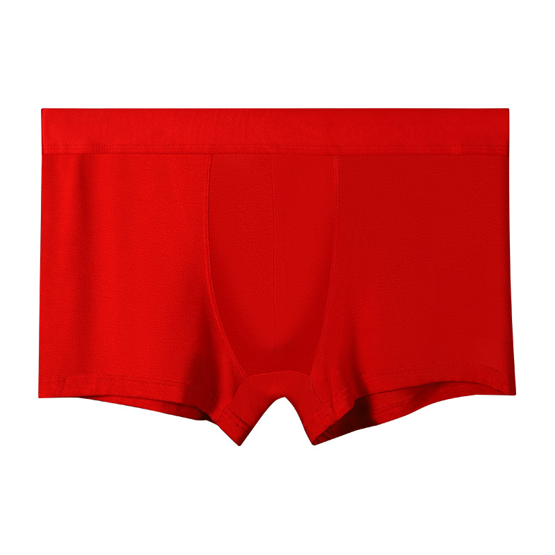 Erkekler için %100 Pamuklu Kır - Boxer Brief Pack Cotton incelemesi ve fiyatı